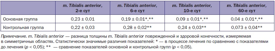 Сравнение толщины m. Tibialis anterior в динамике по данным ультразвукового исследования